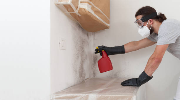 Professional Crawl Space Mold Remediation technician working in Needham Heights, MA